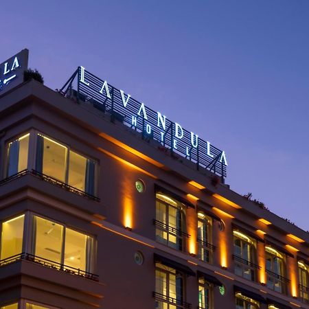 Levent Lavandula Hotel Istanbul Ngoại thất bức ảnh